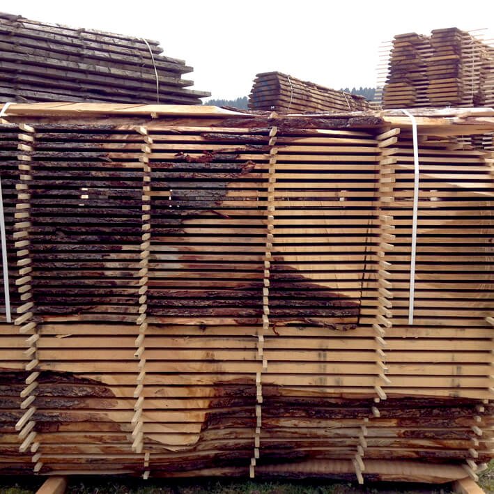 Cedar-of-lebanon-cut-into-two-thicknesses(1) Cedar-of-lebanon-cut-into-two-thicknesses(1)